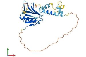 Protein Structure (PS) image for Chromosome 15 Open Reading Frame 60 (C15ORF60) (AA 1-259) protein (His tag) (ABIN7560664)