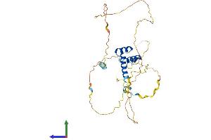 Protein Structure (PS) image for Homeobox B2 (HOXB2) (AA 1-354) protein (His tag) (ABIN7562791)