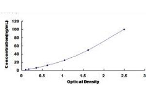 HYAL1 ELISA Kit