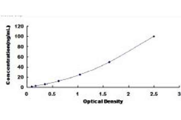 HYAL1 ELISA Kit