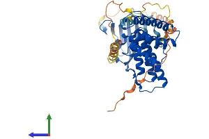 Protein Structure (PS) image for FK506 Binding Protein 8, 38kDa (FKBP8) (AA 1-402) protein (His tag) (ABIN7562324)