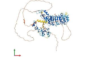 Protein Structure (PS) image for F-Box and Leucine-Rich Repeat Protein 19 (FBXL19) (AA 1-694) protein (His tag) (ABIN7547856)