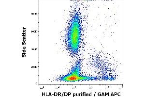 Flow cytometry surface staining pattern of human peripheral whole blood stained using anti-human HLA-DR/DP (HL-40) purified antibody (concentration in sample 1 μg/mL) GAM APC.