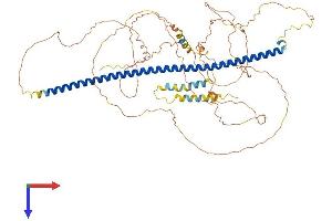 Syntabulin Protein (AA 1-665) (His tag)