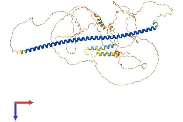 Syntabulin Protein (AA 1-665) (His tag)