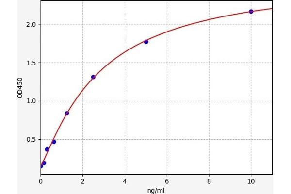 CDK7 ELISA Kit