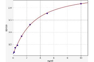 Typical standard curve (CDK7 ELISA Kit)