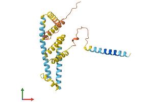 Protein Structure (PS) image for BRI3 Binding Protein (BRI3BP) (AA 1-251) protein (His tag) (ABIN7552774)