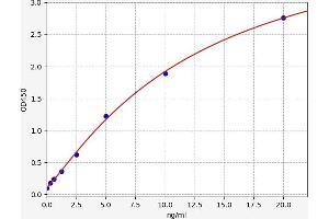 AQP3 ELISA Kit