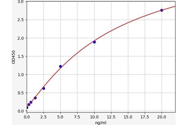 AQP3 ELISA Kit