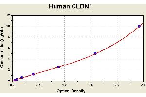 Diagramm of the ELISA kit to detect Human CLDN1with the optical density on the x-axis and the concentration on the y-axis. (Claudin 1 ELISA Kit)
