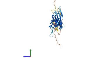 Protein Structure (PS) image for Potassium Inwardly-Rectifying Channel, Subfamily J, Member 13 (KCNJ13) (AA 1-360) protein (His tag) (ABIN7556765)