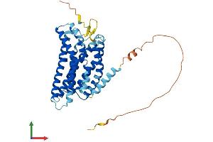 Protein Structure (PS) image for G Protein-Coupled Receptor 4 (GPR4) (AA 1-362) protein (His tag) (ABIN7548176)