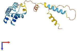 C9orf89 Protein (AA 1-183) (His tag)