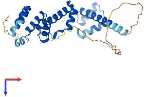 SIX Homeobox 6 Protein (SIX6) (AA 1-246) (His tag)