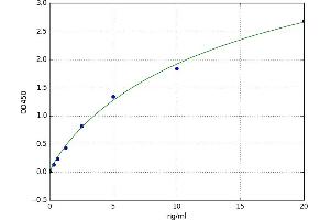 A typical standard curve (GFAP ELISA Kit)