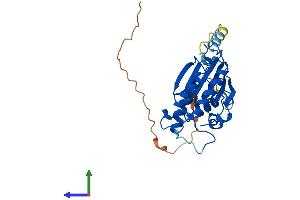 Protein Structure (PS) image for Phosphoglycerate Mutase Family Member 5 (PGAM5) (AA 1-289) protein (His tag) (ABIN7550665)