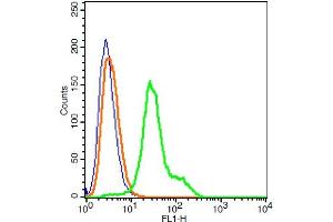 Human 293T cells probed with Claudin 1 Polyclonal Antibody, A488 conjugated (bs-1428R-A488) (green) at 1:100 for 30 minutes compared to unstained cells (blue) and isotype control (orange). (Claudin 1 Antikörper  (AA 121-211) (Alexa Fluor 488))