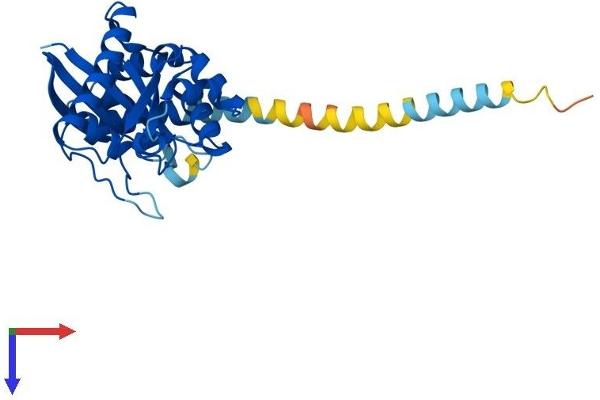 GTPase, IMAP Family Member 1 (GIMAP1) (AA 1-277) protein (His tag)