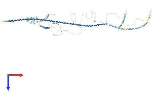 OFD1 Protein (AA 1-1017) (His tag)