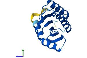 Protein Structure (PS) image for Trafficking Protein Particle Complex 2 Pseudogene 1 (TRAPPC2P1) (AA 1-140) protein (His tag) (ABIN7544616)