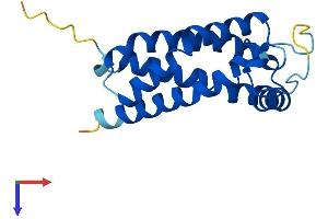 TMEM97 Protein (AA 1-176) (His tag)