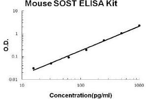 Mouse Sclerostin/SOST PicoKine ELISA Kit standard curve (Sclerostin ELISA Kit)