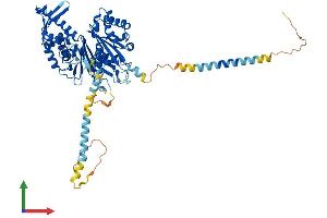 Protein Structure (PS) image for Ectonucleoside Triphosphate diphosphohydrolase 7 (ENTPD7) (AA 1-606) protein (His tag) (ABIN7557054)