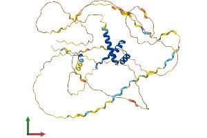 Protein Structure (PS) image for Homeobox A3 (HOXA3) (AA 1-443) protein (His tag) (ABIN7562729)