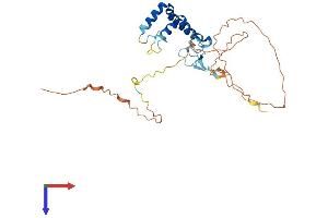 SPRY4 Protein (AA 1-299) (His tag)