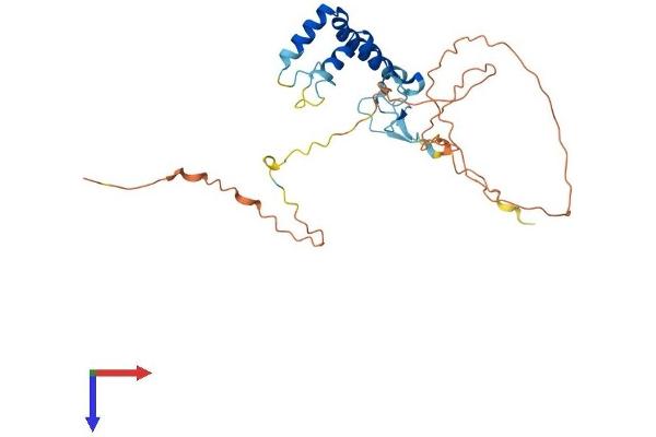 SPRY4 Protein (AA 1-299) (His tag)