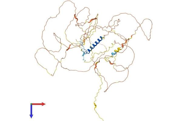 NUFIP2 Protein (AA 1-692) (His tag)