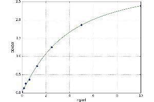 Lin-28 Homolog A (C. Elegans) (LIN28A) ELISA Kit