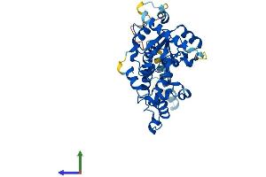 AlphaFold protein structure predicition of Human Recombinant CHST11 Protein, UniprotID Q9NPF2