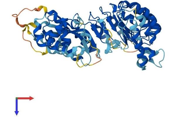 LRRC14 Protein (AA 1-493) (His tag)