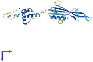 KCTD11 Protein (AA 1-232) (His tag)