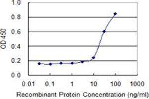 Detection limit for recombinant GST tagged SPAG4 is 1 ng/ml as a capture antibody. (SPAG4 Antikörper  (AA 221-330))