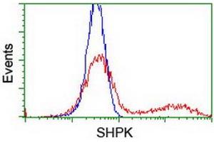 HEK293T cells transfected with either RC204421 overexpress plasmid (Red) or empty vector control plasmid (Blue) were immunostained by anti-SHPK antibody (ABIN2454861), and then analyzed by flow cytometry. (SHPK Antikörper)