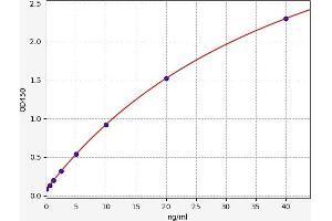 Typical standard curve (Calpain 3 ELISA Kit)