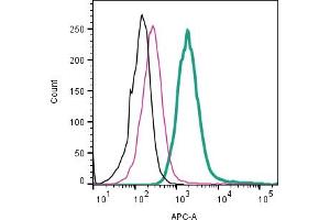 anti-Neural Cell Adhesion Molecule 2 (NCAM2) (AA 635-650), (Extracellular) antibody