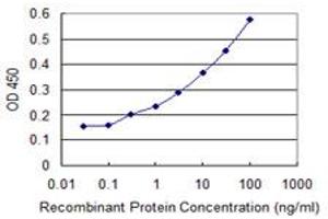 Detection limit for recombinant GST tagged AMELX is 0. (AMELX Antikörper  (AA 93-191))