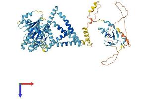 RNF103 Protein (AA 1-685) (His tag)
