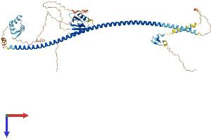 STXBP4 Protein (AA 1-553) (His tag)