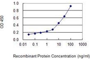 Detection limit for recombinant GST tagged UGT1A1 is 0. (UGT1A1 Antikörper  (AA 54-159))