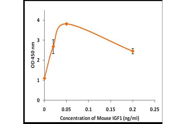 IGF1 Protein