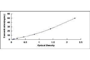 Typical standard curve (CYP11B1 ELISA Kit)