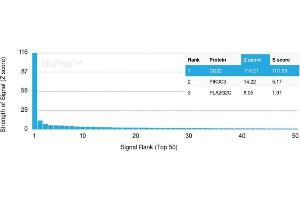 Analysis of Protein Array containing more than 19,000 full-length human proteins using CD22-Monospecific Mouse Monoclonal Antibody (BLCAM/1795) Z- and S- Score: The Z-score represents the strength of a signal that a monoclonal antibody (MAb) (in combination with a fluorescently-tagged anti-IgG secondary antibody) produces when binding to a particular protein on the HuProtTM array. (CD22 Antikörper  (AA 52-178))