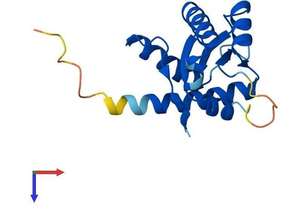 GADD45G Protein (AA 1-159) (His tag)