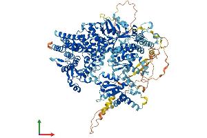 Protein Structure (PS) image for Phosphorylase Kinase, alpha 2 (PHKA2) (AA 1-1235) protein (His tag) (ABIN7554335)