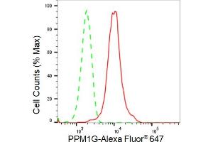 Flow cytometric analysis of PPM1G expression in HepG2 cells using PPM1G antibody (ABIN7800035), 1:2,000). (Rekombinanter PPM1G Antikörper)